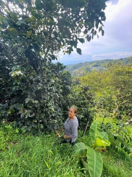 Finca guatemala