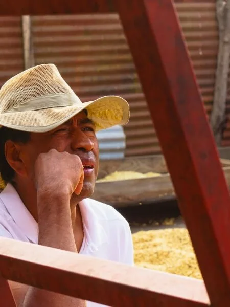 Productor café, finca Guatemala
