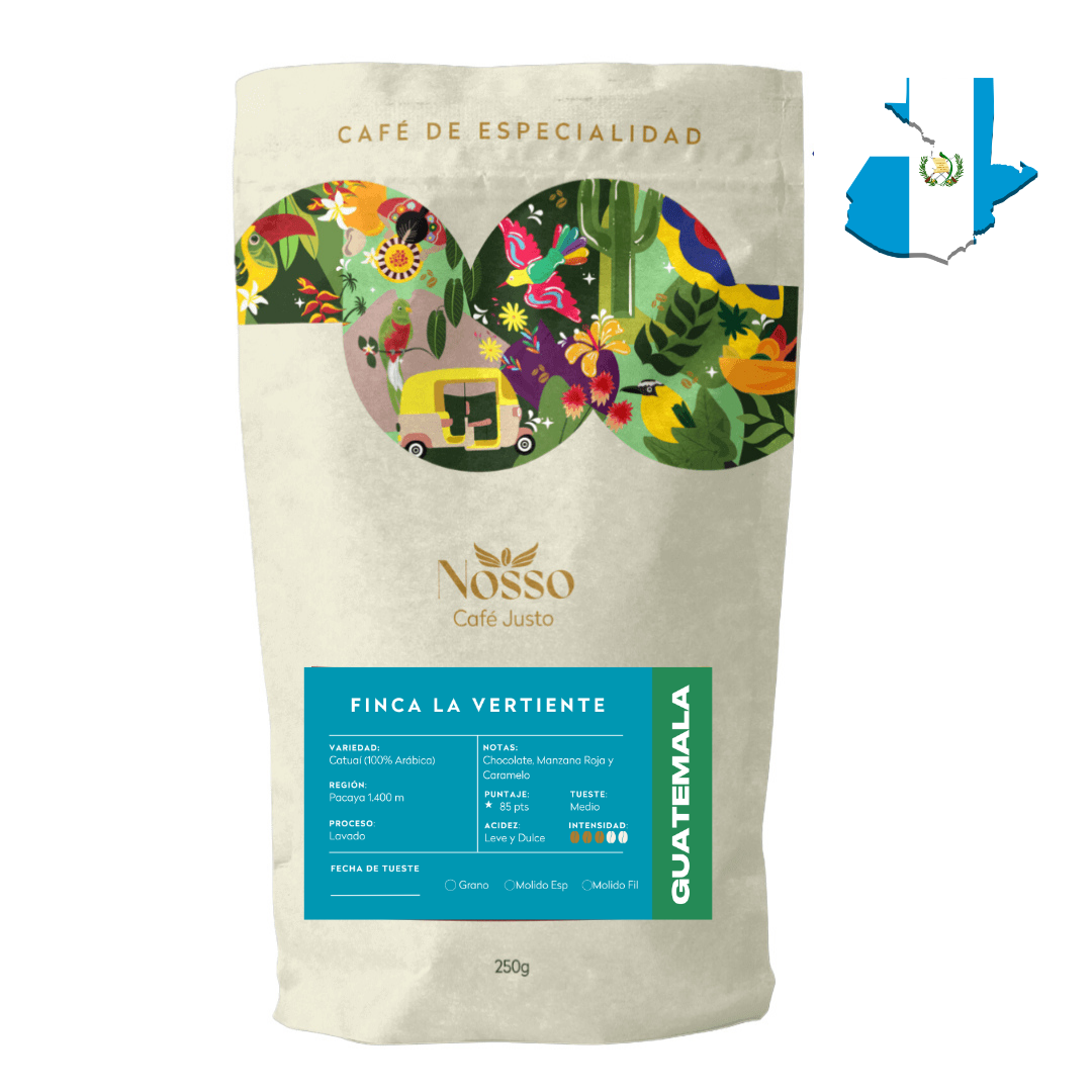 envase guatemala principal