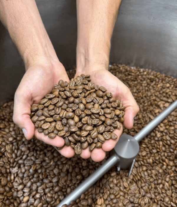 Café Verde de Origen para Tostadores